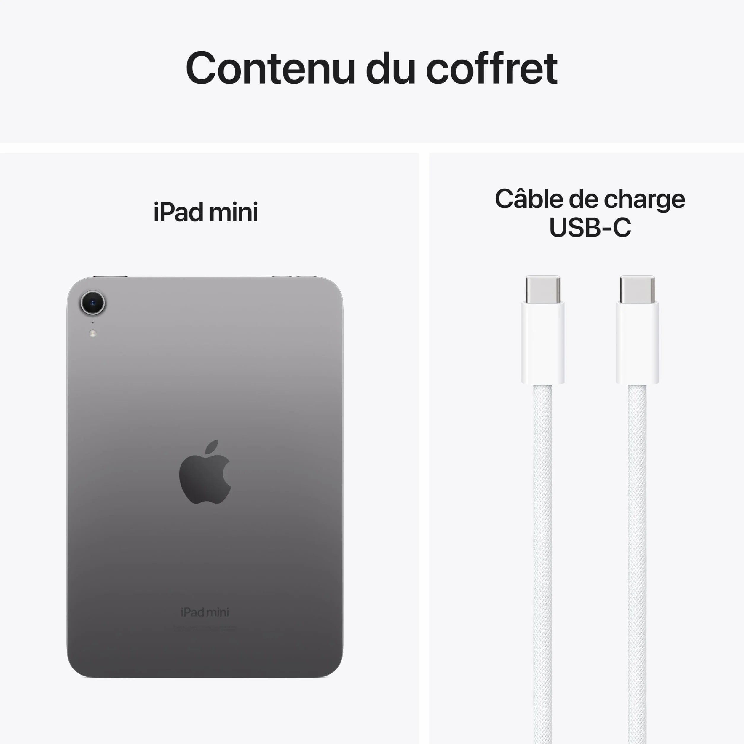 Apple iPad Mini (A17 Pro) : Écran Liquid Retina 8,3 Pouces, 256 Go, Wi-FI 6E, caméras Avant/arrière 12 Mpx, Touch ID, autonomie d’Une journée - Gris sidéral